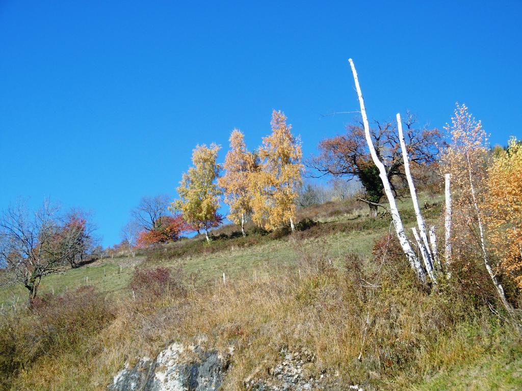 Sainte-Agnès Gite Au Coeur Du Chalet En Belledonne Vers Prapoutel Les 7 Laux חדר תמונה